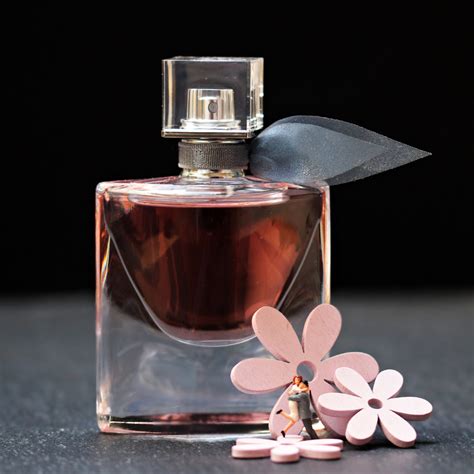 store that can replicate discontinued perfume|discontinued perfumes duplicated.